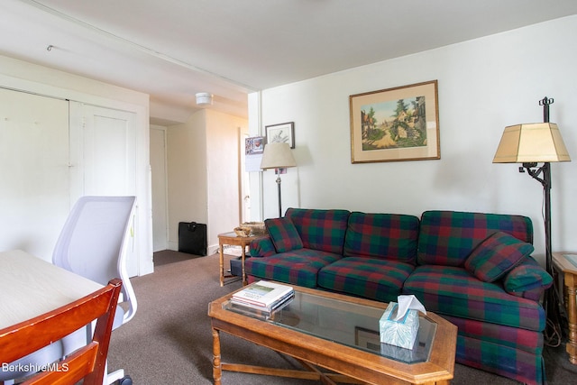 6-10 Manville St, Great Barrington, MA 01230 - living area featuring carpet
