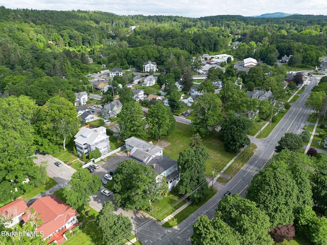 6-10 Manville St, Great Barrington, MA 01230 - view of property location featuring a forest and nearby suburban area