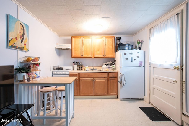 6-10 Manville St, Great Barrington, MA 01230 - kitchen featuring white appliances, under cabinet range hood, crown molding, light flooring, and light countertops