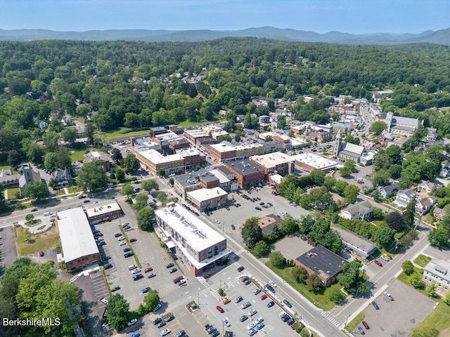 34 Bridge St Unit 202, Great Barrington, MA 01230 - photo 21