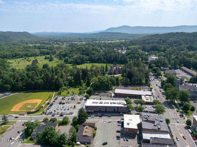 34 Bridge St Unit 202, Great Barrington, MA 01230 - photo 20