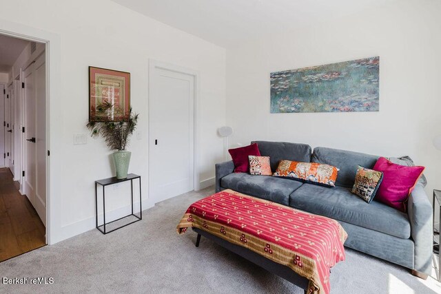 34 Bridge St Unit 202, Great Barrington, MA 01230 - photo 8