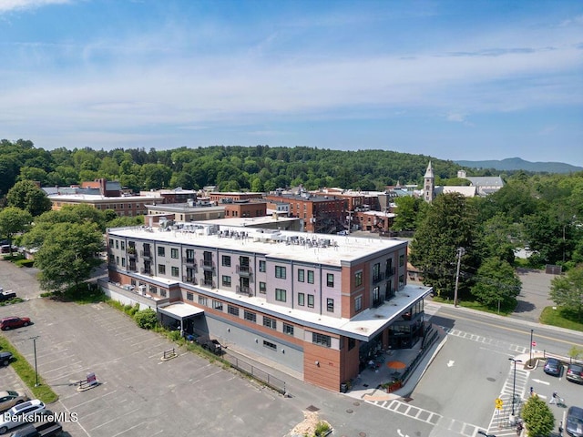 34 Bridge St Unit 202, Great Barrington, MA 01230 - photo 14