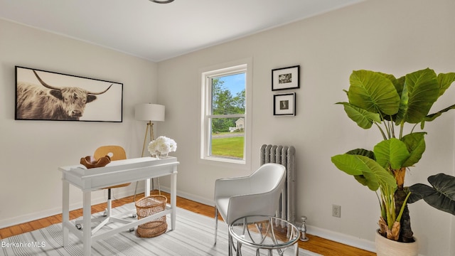 370 Park St, Great Barrington, MA 01236 - sitting room featuring radiator, an office area, and wood finished floors