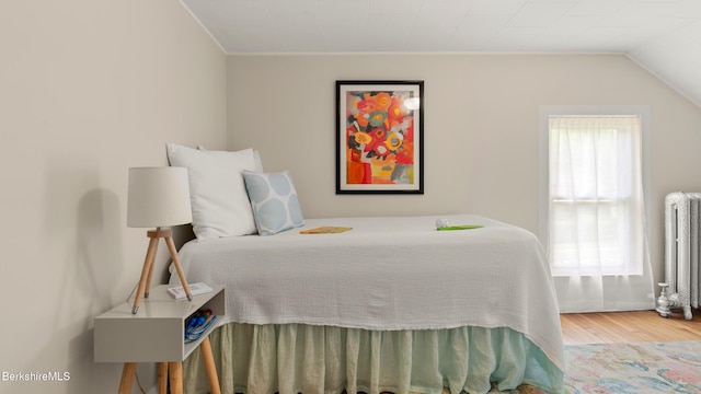 370 Park St, Great Barrington, MA 01236 - bedroom featuring radiator heating unit, wood finished floors, and crown molding