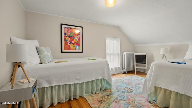 370 Park St, Great Barrington, MA 01236 - bedroom featuring radiator, wood finished floors, crown molding, and lofted ceiling