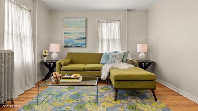 370 Park St, Great Barrington, MA 01236 - living room with healthy amount of natural light, wood finished floors, radiator heating unit, and ornamental molding