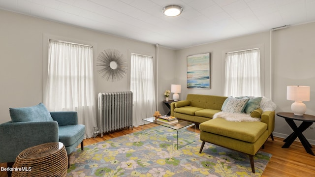 370 Park St, Great Barrington, MA 01236 - living room with radiator and wood finished floors