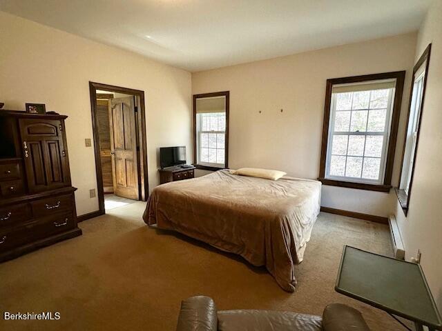 791 Partridge Rd, Lanesborough, MA 01237 - bedroom with light colored carpet, multiple windows, and baseboards
