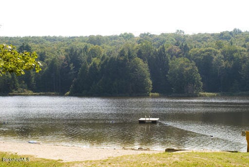 property view of water with a forest view