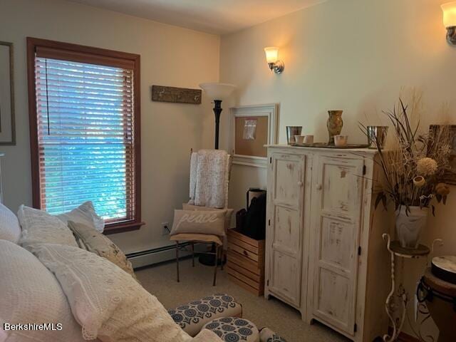 8 Stanley Dr Unit A-4, Great Barrington, MA 01230 - living area featuring baseboard heating and light colored carpet