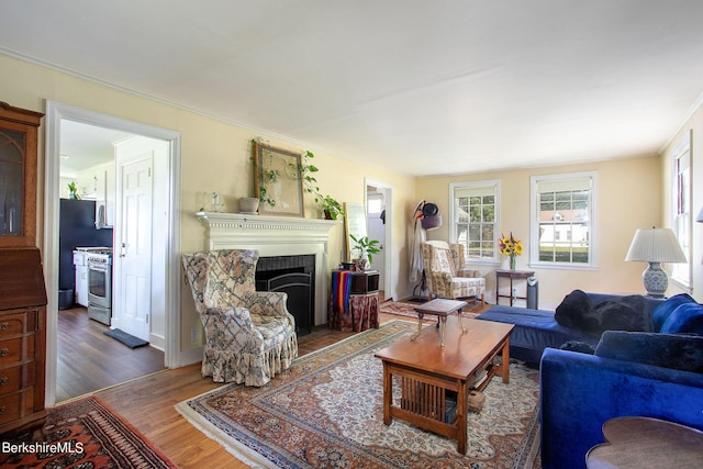 living room featuring dark hardwood / wood-style floors