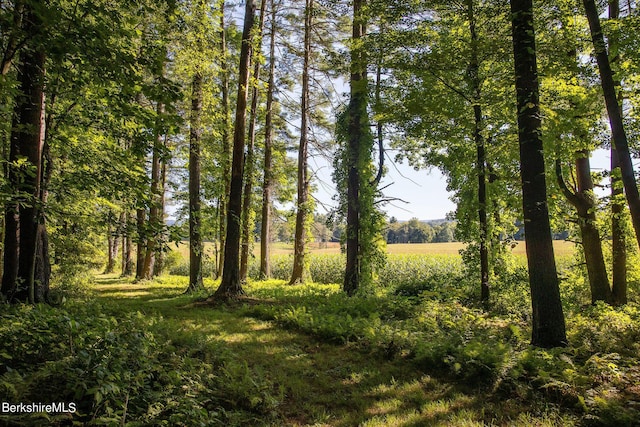 view of landscape