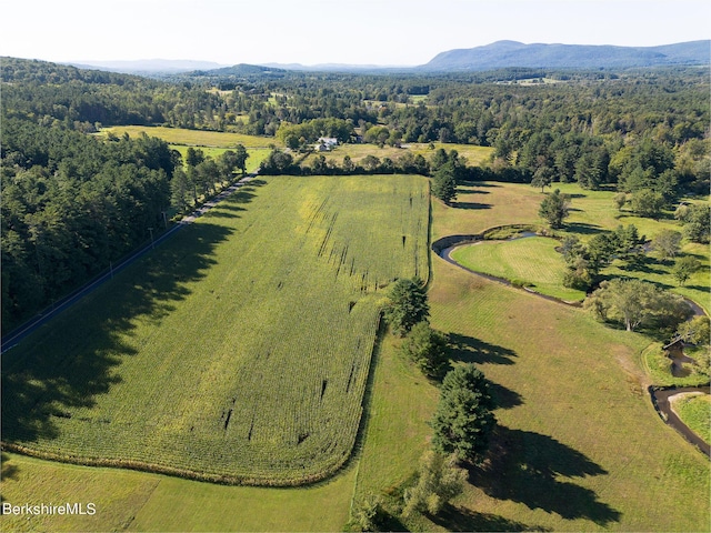 drone / aerial view with a mountain view and a rural view