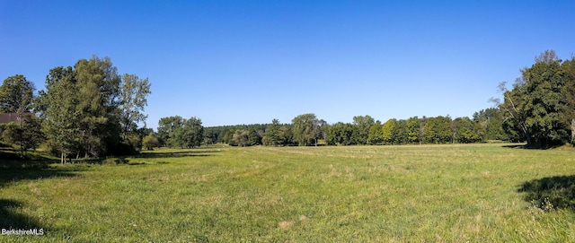 view of local wilderness featuring a rural view