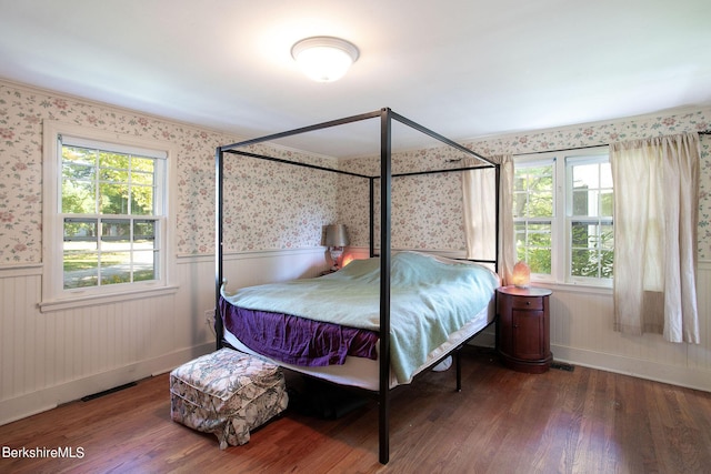 bedroom featuring multiple windows and dark wood-type flooring