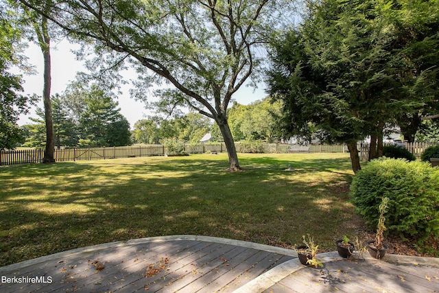 view of yard featuring a deck