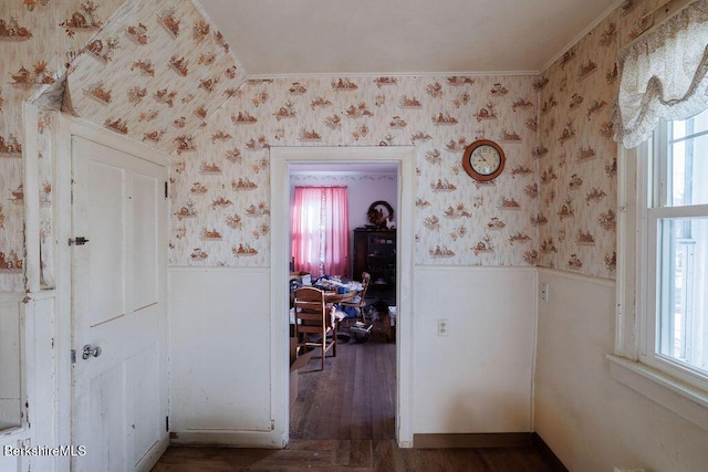 corridor with plenty of natural light, wainscoting, and wallpapered walls