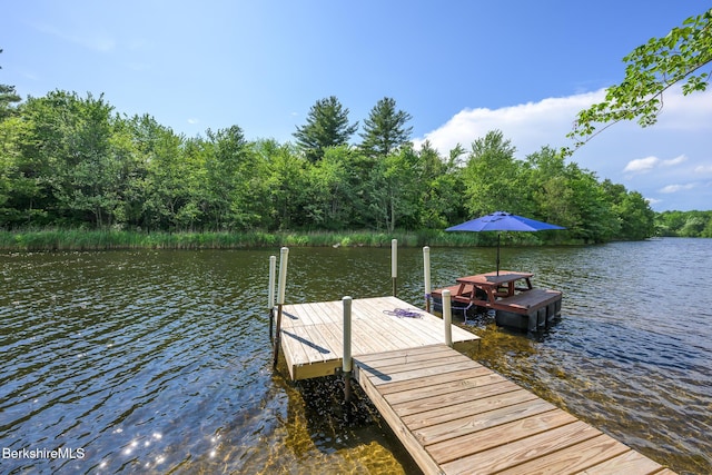 91 Henry Dr, Hinsdale, MA 01235 - photo 2