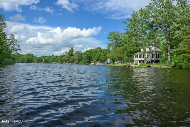 91 Henry Dr, Hinsdale, MA 01235 - photo 30