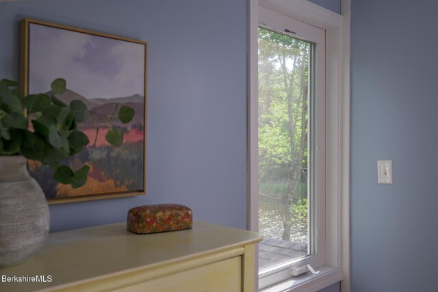 91 Henry Dr, Hinsdale, MA 01235 - photo 28