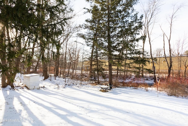 view of yard covered in snow