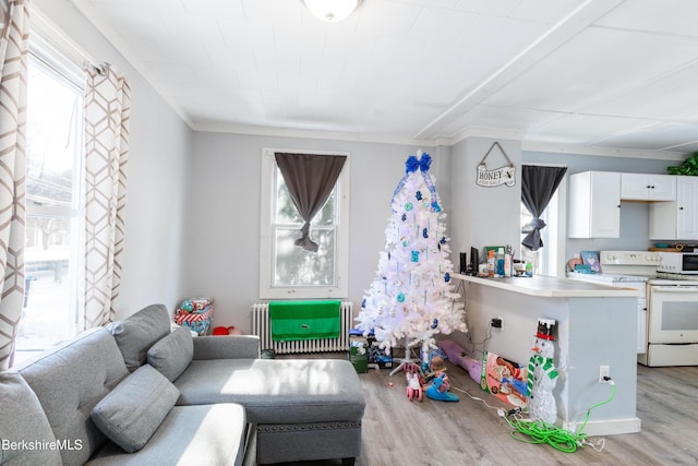 living room with light wood-type flooring, radiator heating unit, and ornamental molding