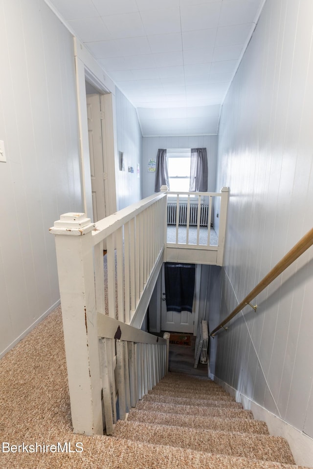 staircase featuring carpet flooring