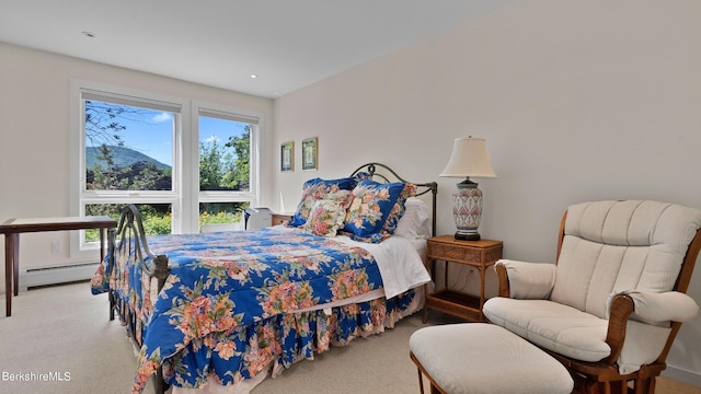 180 W Center Rd, West Stockbridge, MA 01266 - photo 29