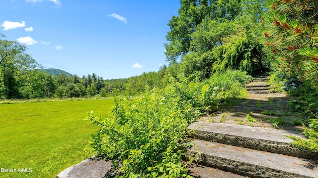 180 W Center Rd, West Stockbridge, MA 01266 - photo 50