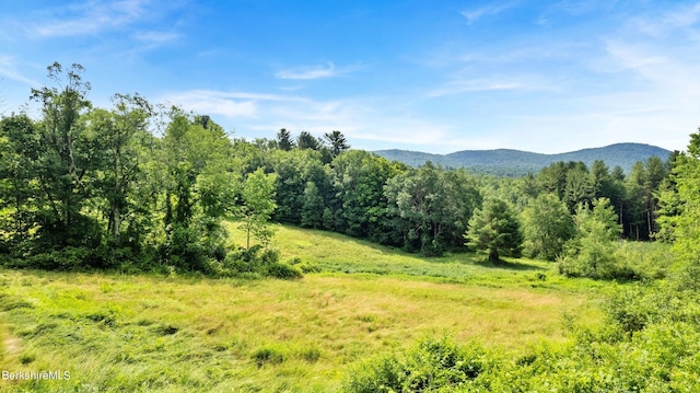 180 W Center Rd, West Stockbridge, MA 01266 - photo 46