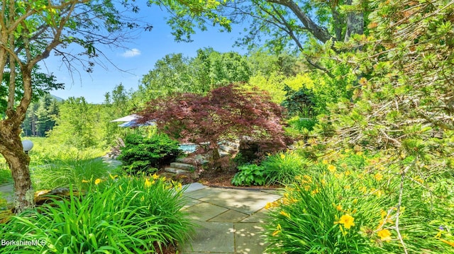 180 W Center Rd, West Stockbridge, MA 01266 - photo 47