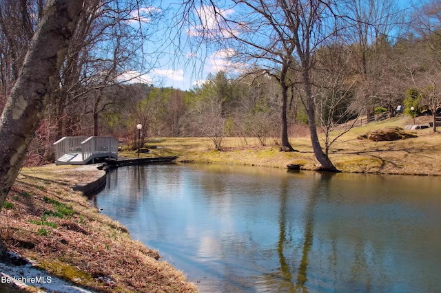 180 W Center Rd, West Stockbridge, MA 01266 - photo 41