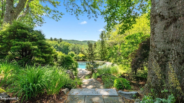 180 W Center Rd, West Stockbridge, MA 01266 - photo 44