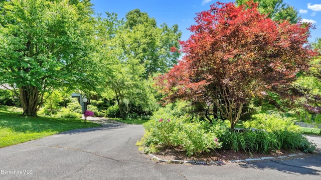 180 W Center Rd, West Stockbridge, MA 01266 - photo 53