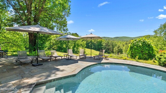 180 W Center Rd, West Stockbridge, MA 01266 - photo 38