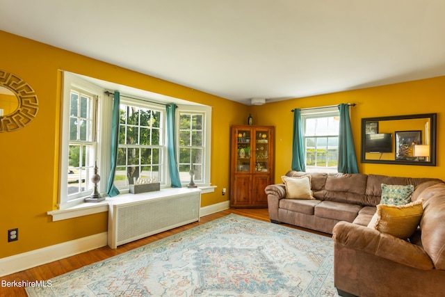 74 Rhode Island Ave, Pittsfield, MA 01201 - photo 6