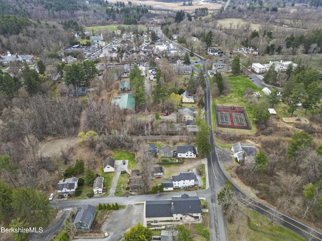 14 Pine St, Stockbridge, MA 01262 - photo 37