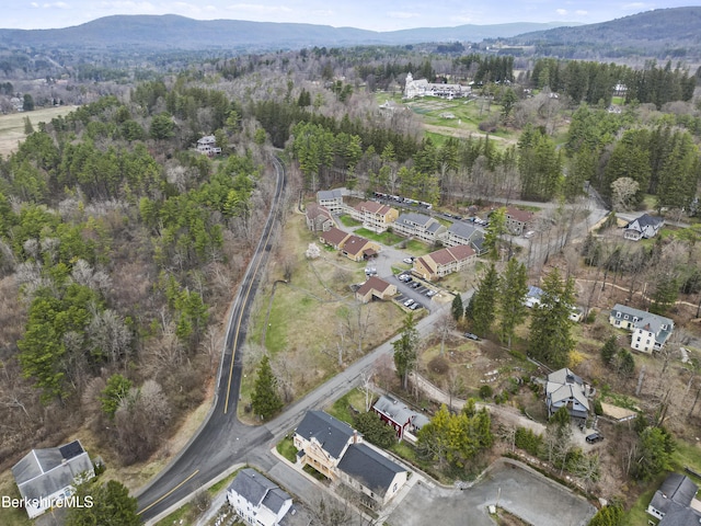 14 Pine St, Stockbridge, MA 01262 - photo 36