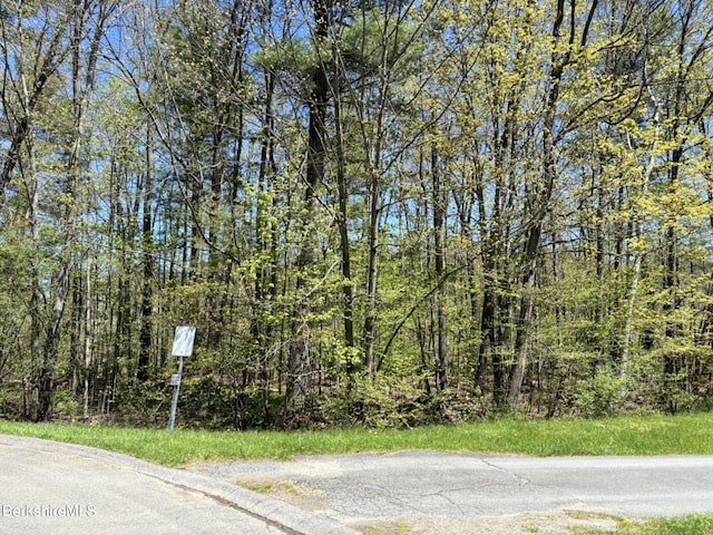 Listing photo 2 for LOT148-9 Eastbrook Ln, Pittsfield MA 01201