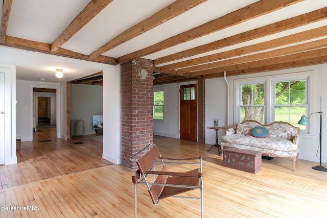 649 Hewins St, Sheffield, MA 01257 - living room with plenty of natural light, hardwood / wood-style flooring, radiator heating unit, and beam ceiling