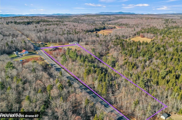 61 E Main Rd, Peru, MA 01235 - aerial view of property's location with property parcel outlined, a heavily wooded area, and a mountainous background