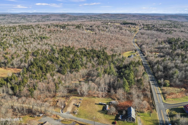 61 E Main Rd, Peru, MA 01235 - view of property location with a forest