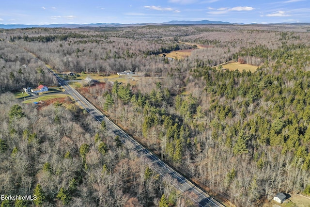61 E Main Rd, Peru, MA 01235 - aerial view of a heavily wooded area and mountains