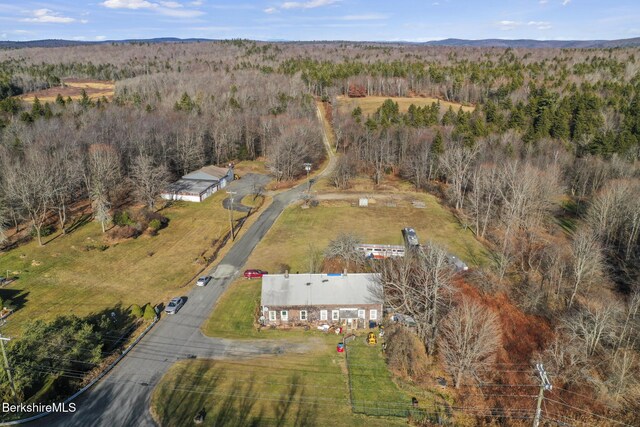 61 E Main Rd, Peru, MA 01235 - view of subject property featuring a forest