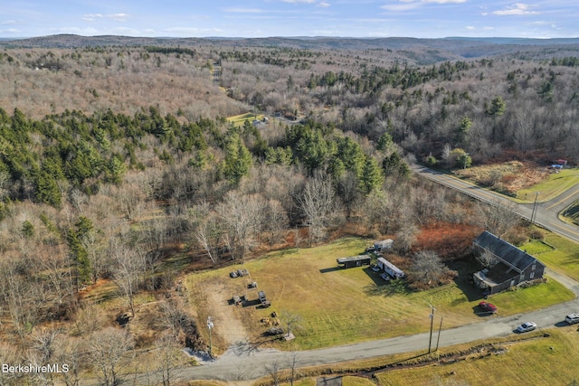 61 E Main Rd, Peru, MA 01235 - overview of rural landscape with a heavily wooded area