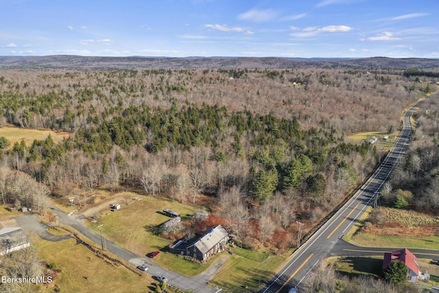 61 E Main Rd, Peru, MA 01235 - view of property location featuring a forest