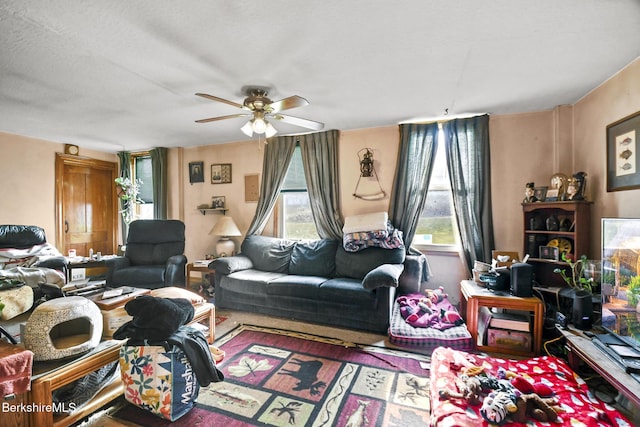 61 E Main Rd, Peru, MA 01235 - living area featuring a ceiling fan and wood finished floors