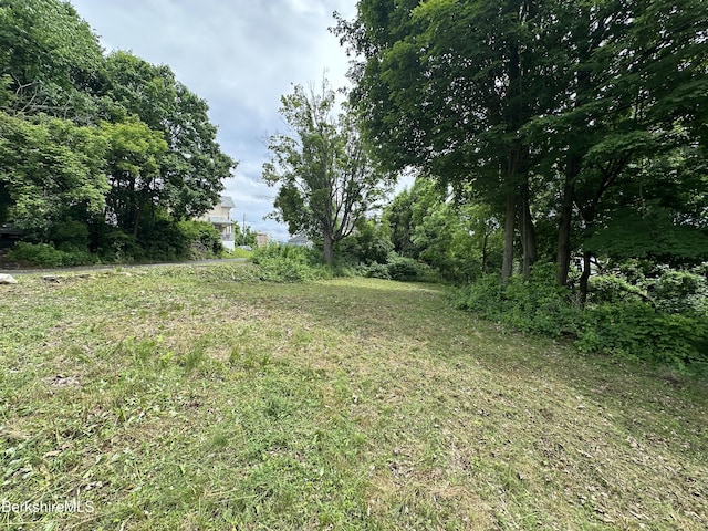 33 Circular Ave, Pittsfield, MA 01201