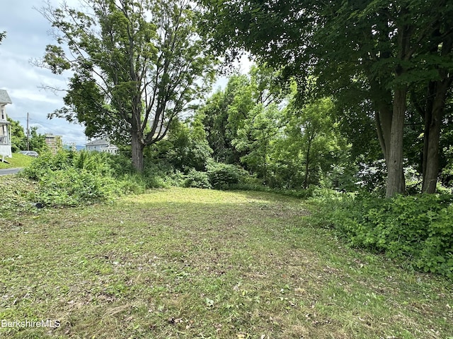 33 Circular Ave, Pittsfield, MA 01201